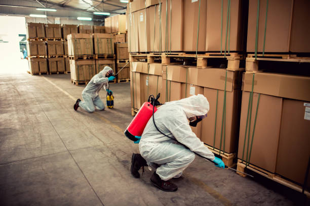 Best Affordable Pest Control Services  in Sanger, TX