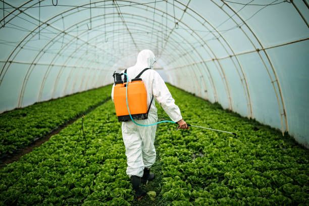 Pest Prevention Services in Sanger, TX