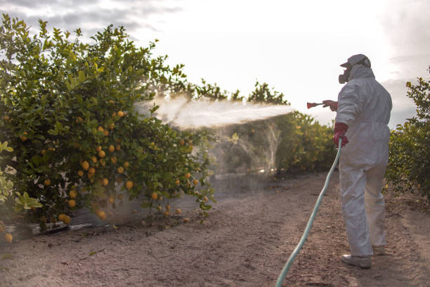 Best Flea Control Services  in Sanger, TX