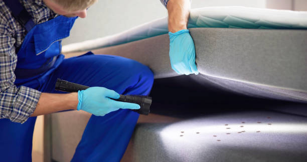 Best Rat Extermination Near Me  in Sanger, TX