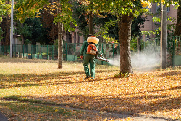 Best Wildlife Control Services  in Sanger, TX