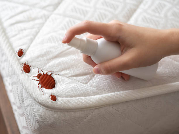 Best Pest Removal Services  in Sanger, TX